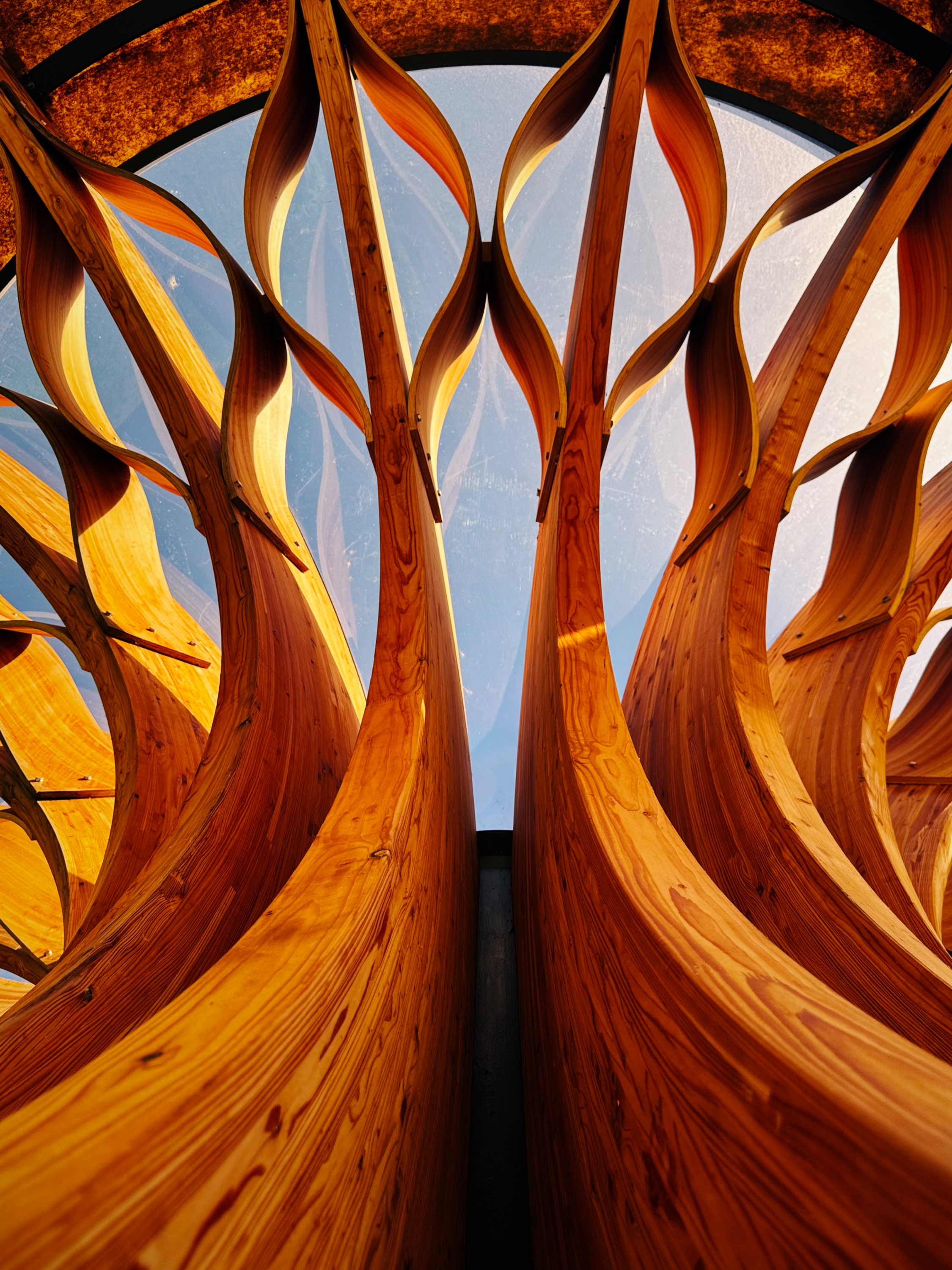 Natural Structure, Photography