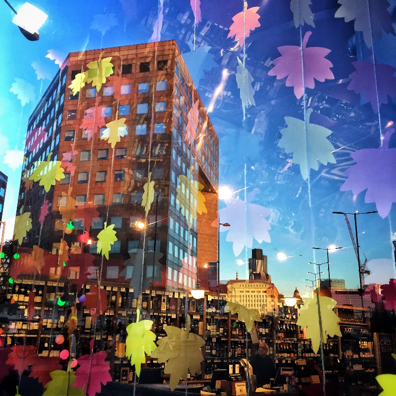 Reflections on Oddbins, by Lissy Tomlinson